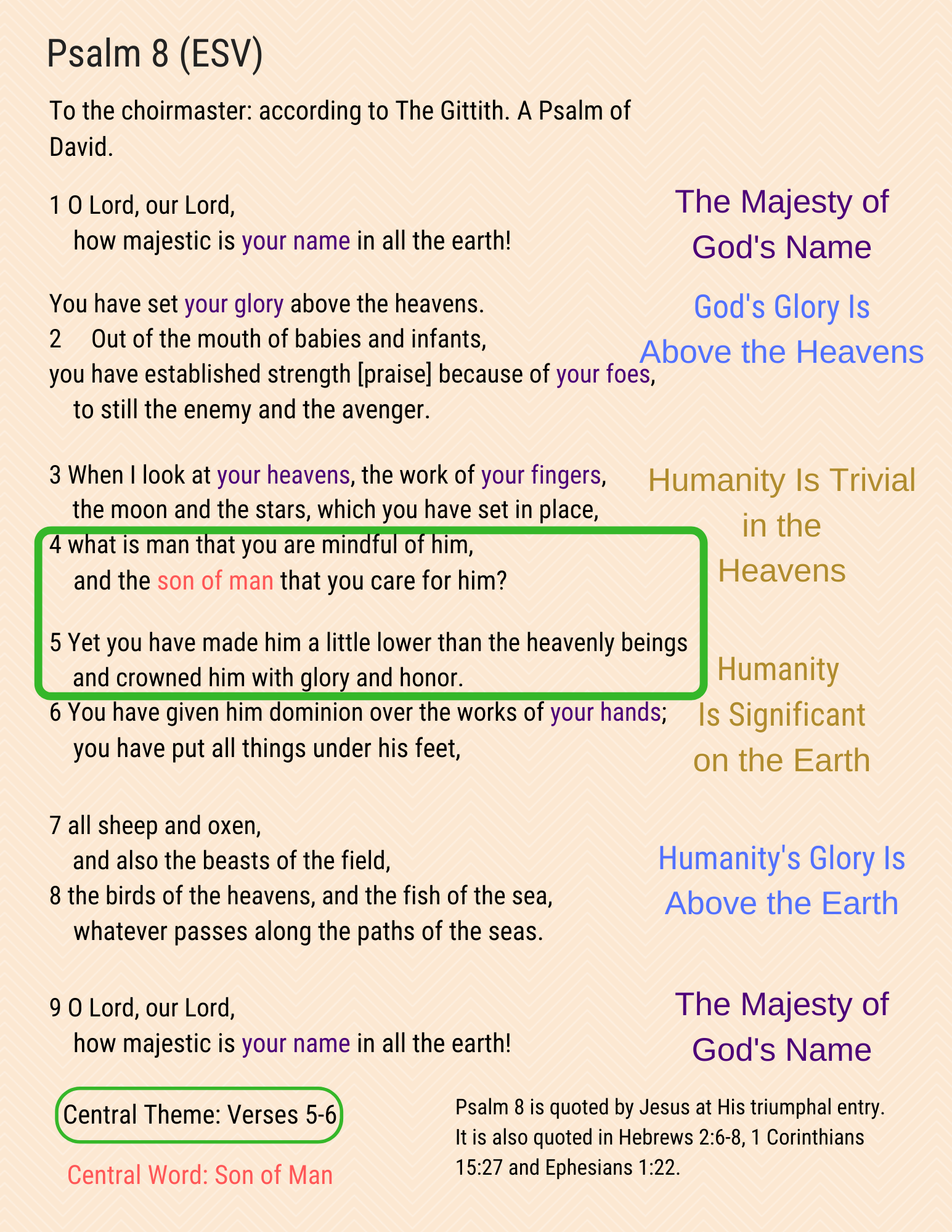 A visual study of Psalm 8