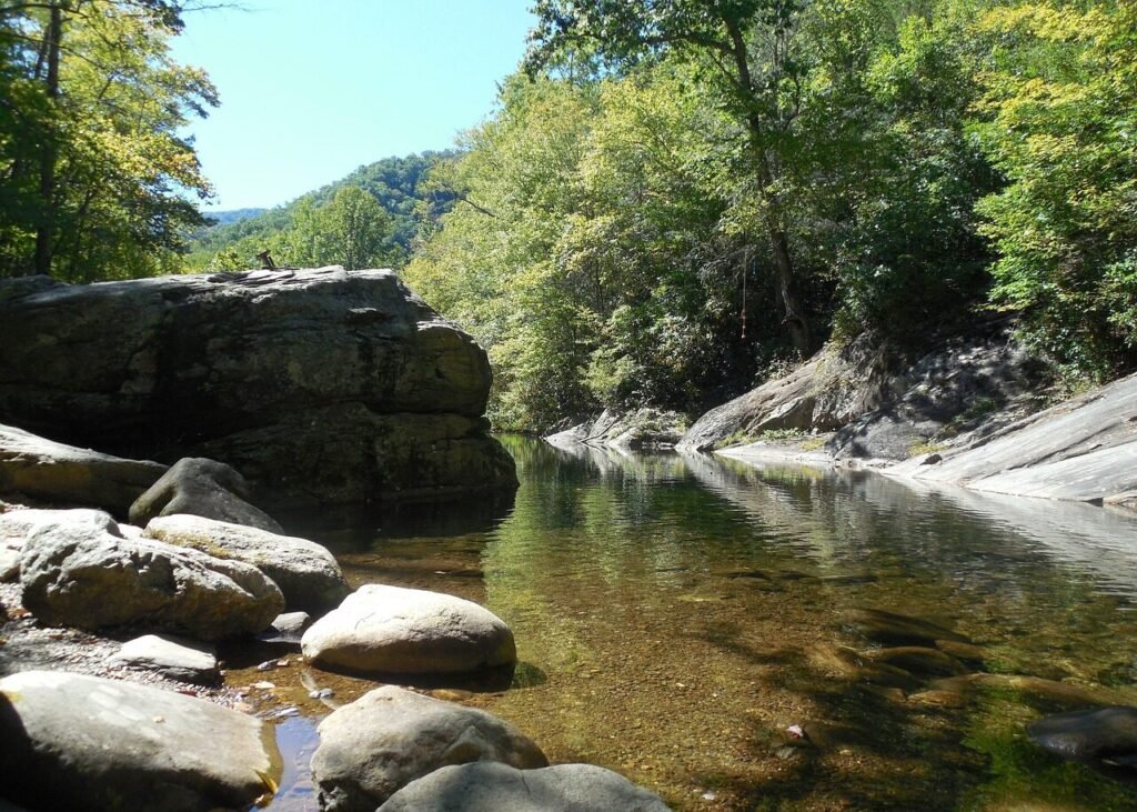 hike, river, hiking, nature, water, forest, outdoor, stream, mountain, creek, landscape, park, wet, natural, scenic, view, green, stone, wood, trail, white, rock, moss, liquid, pool, precipice, still, tranquil, peaceful, reflection, reflective, mirror image, mirror, image, brown